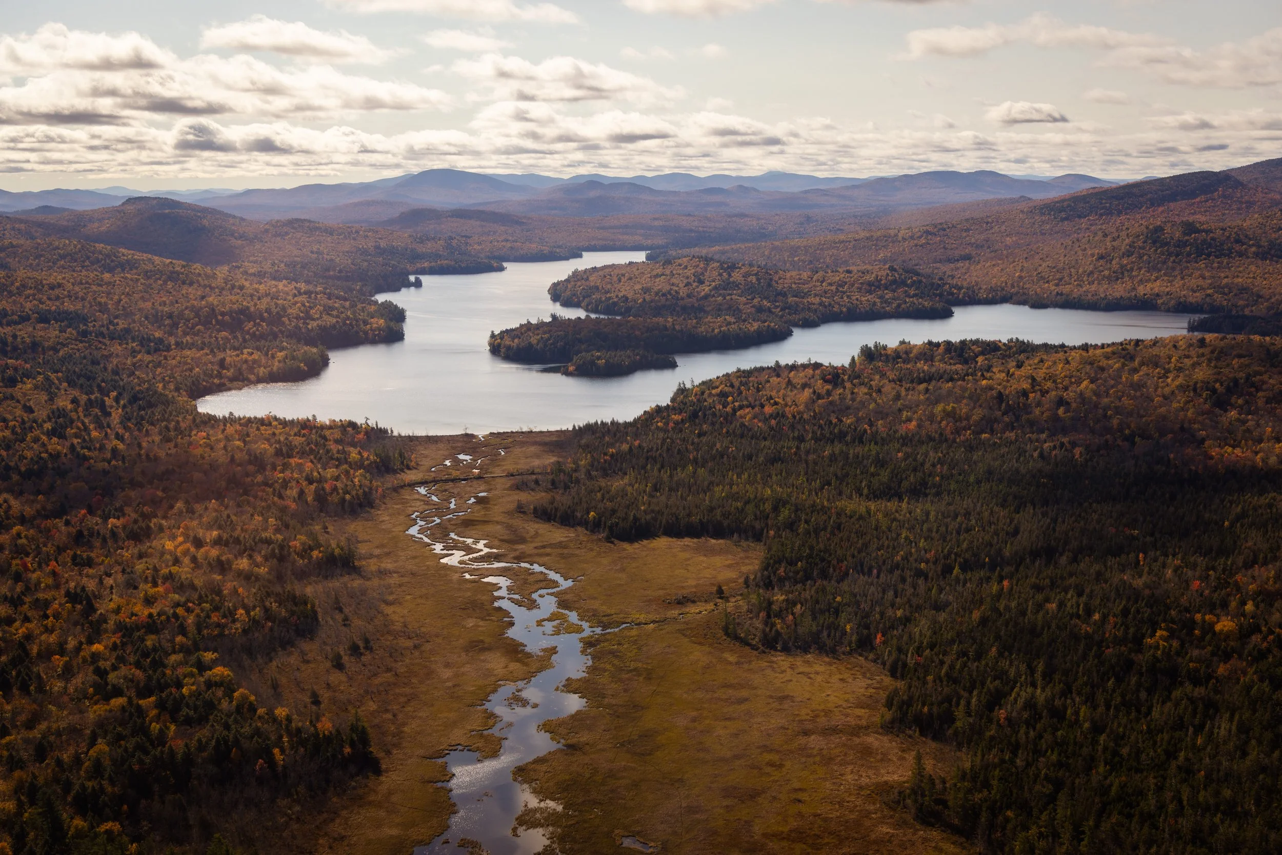 TNC_website edit02.JPG