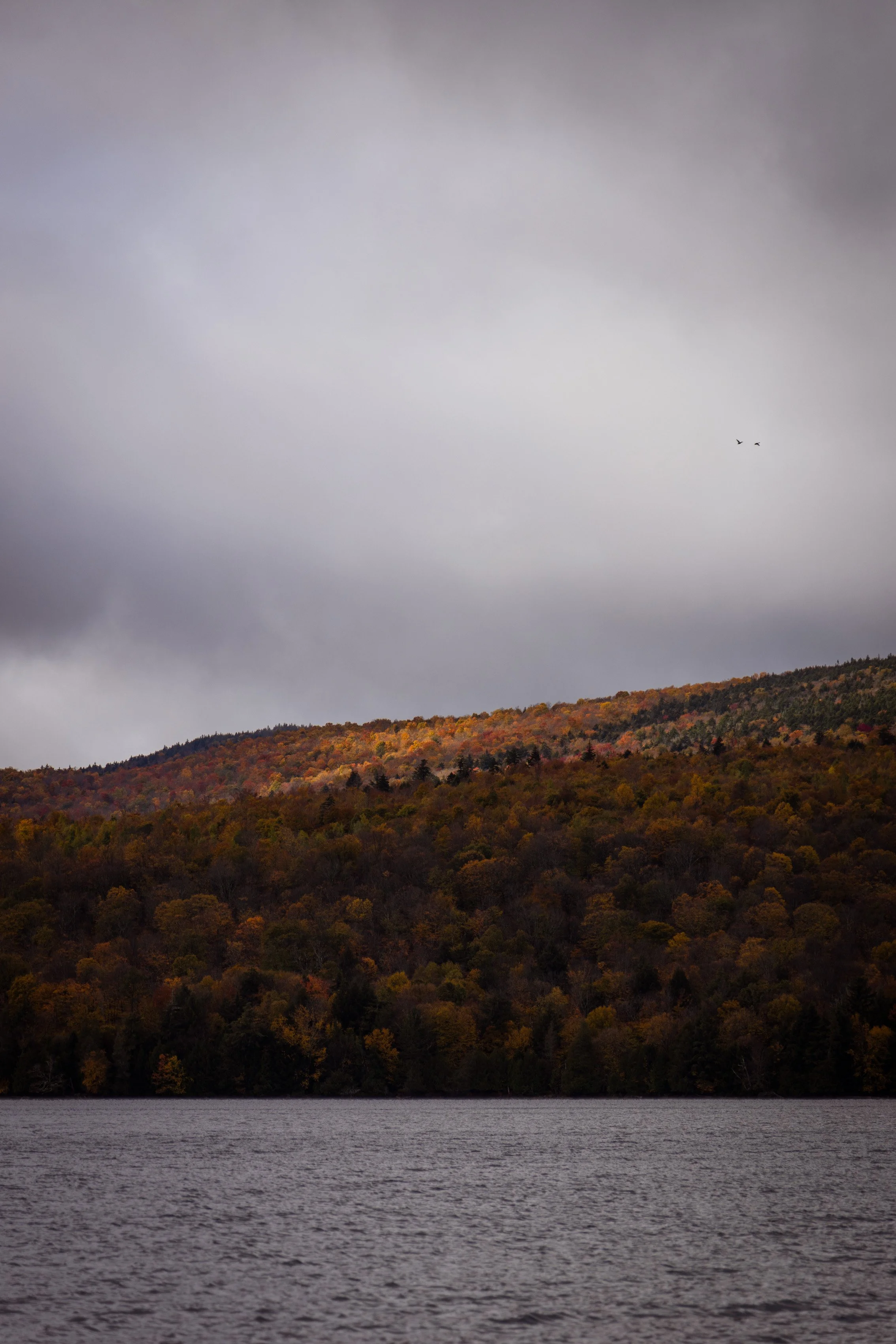 TNC_website edit03.JPG