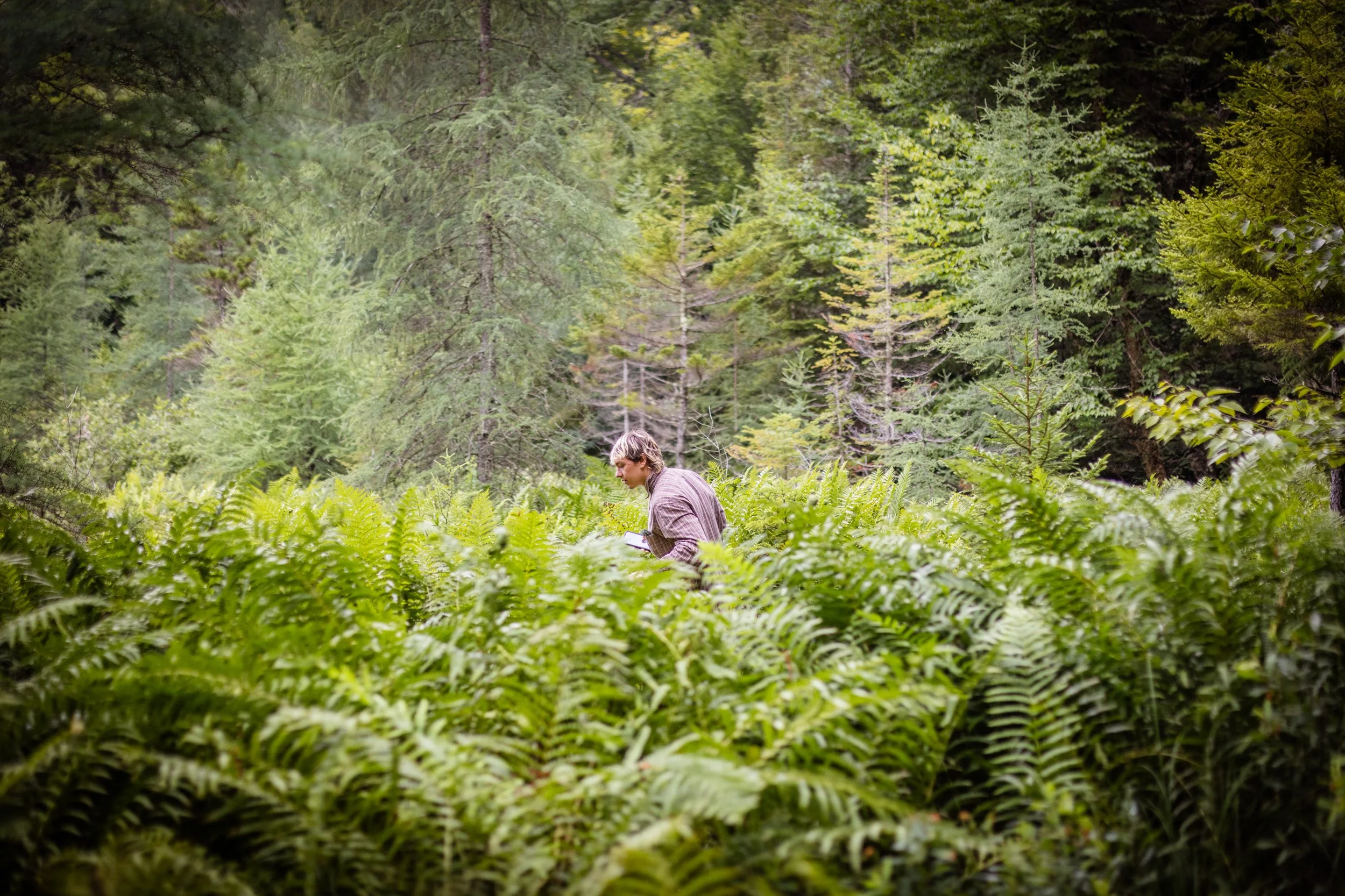 TNC_website edit04.JPG