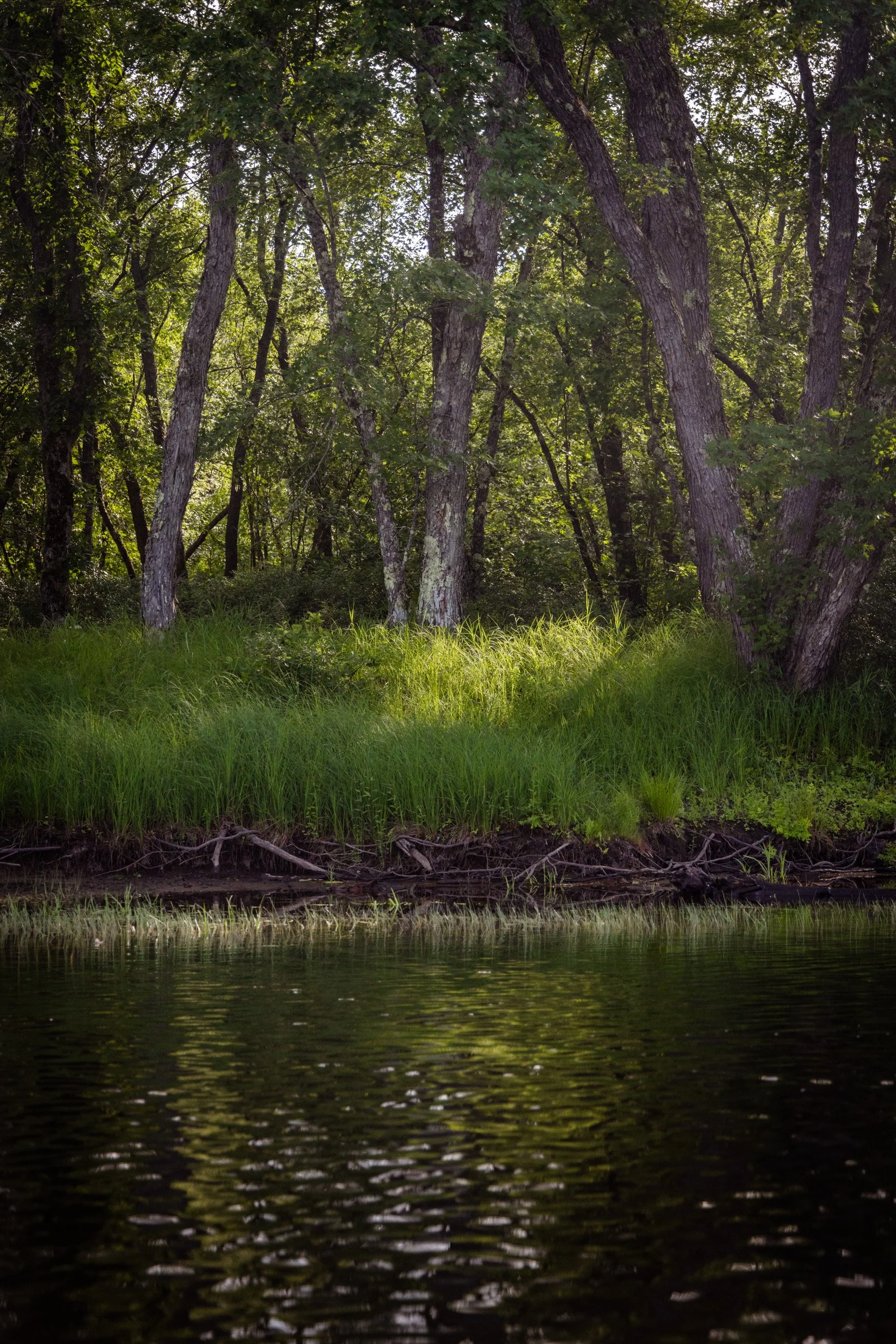 TNC_website edit05.JPG