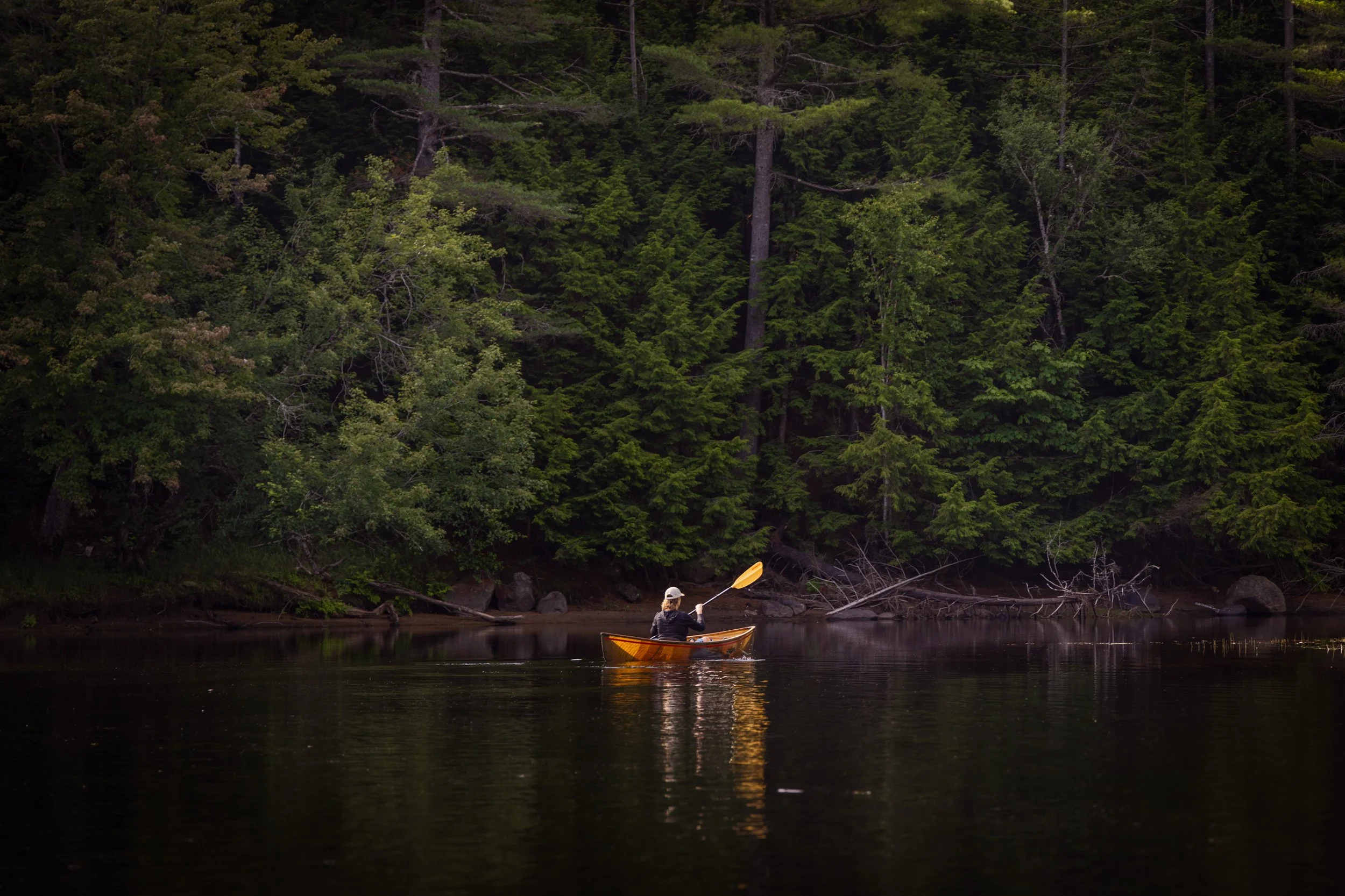 TNC_website edit09.JPG