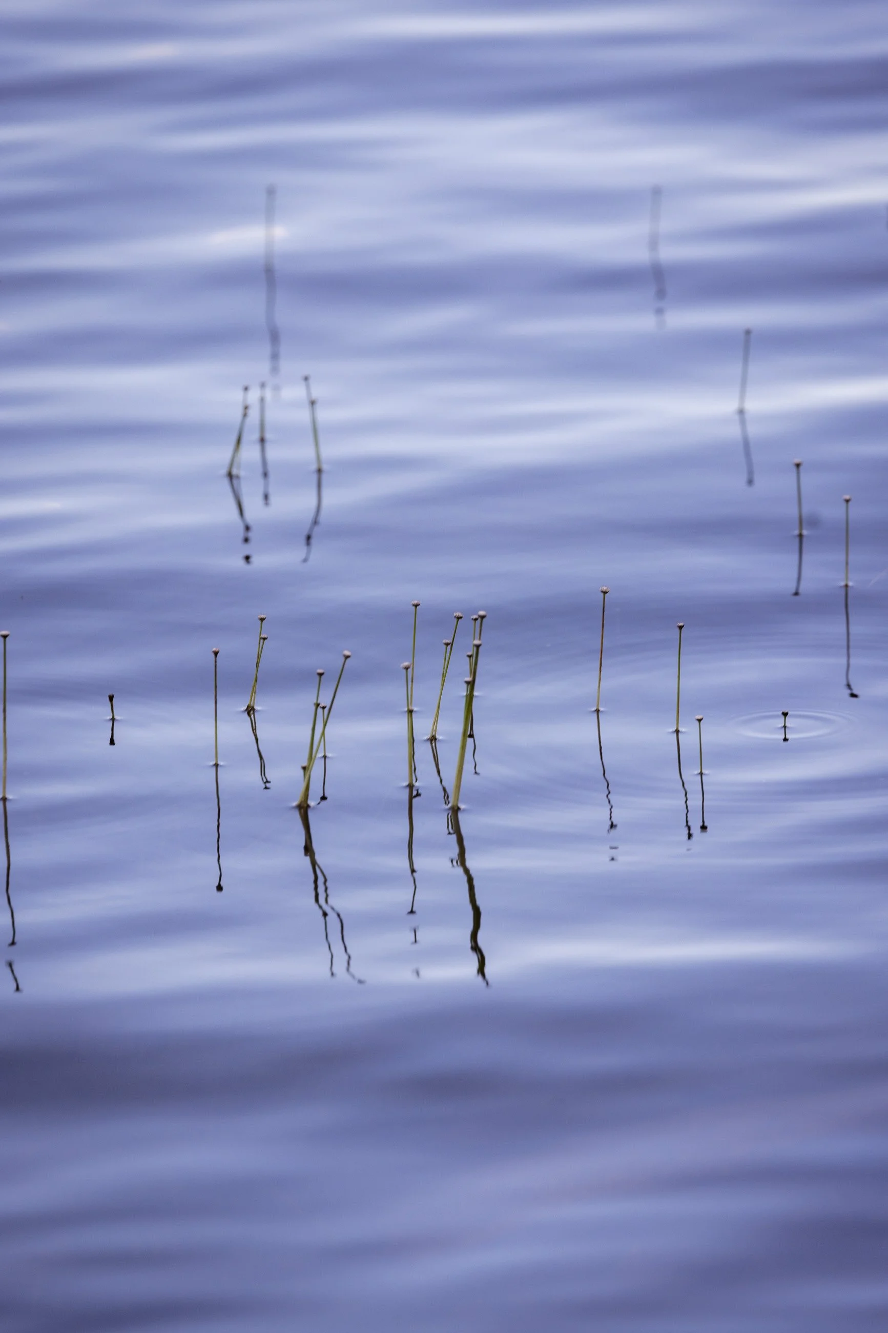 TNC_website edit12.JPG