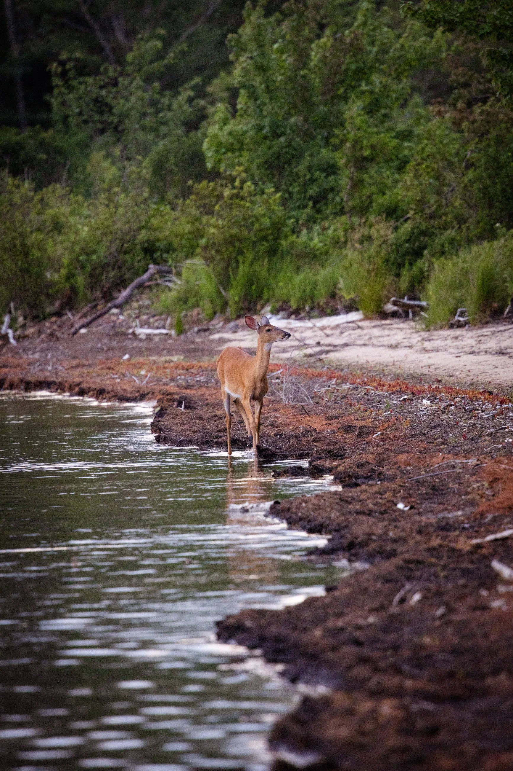 TNC_website edit13.JPG