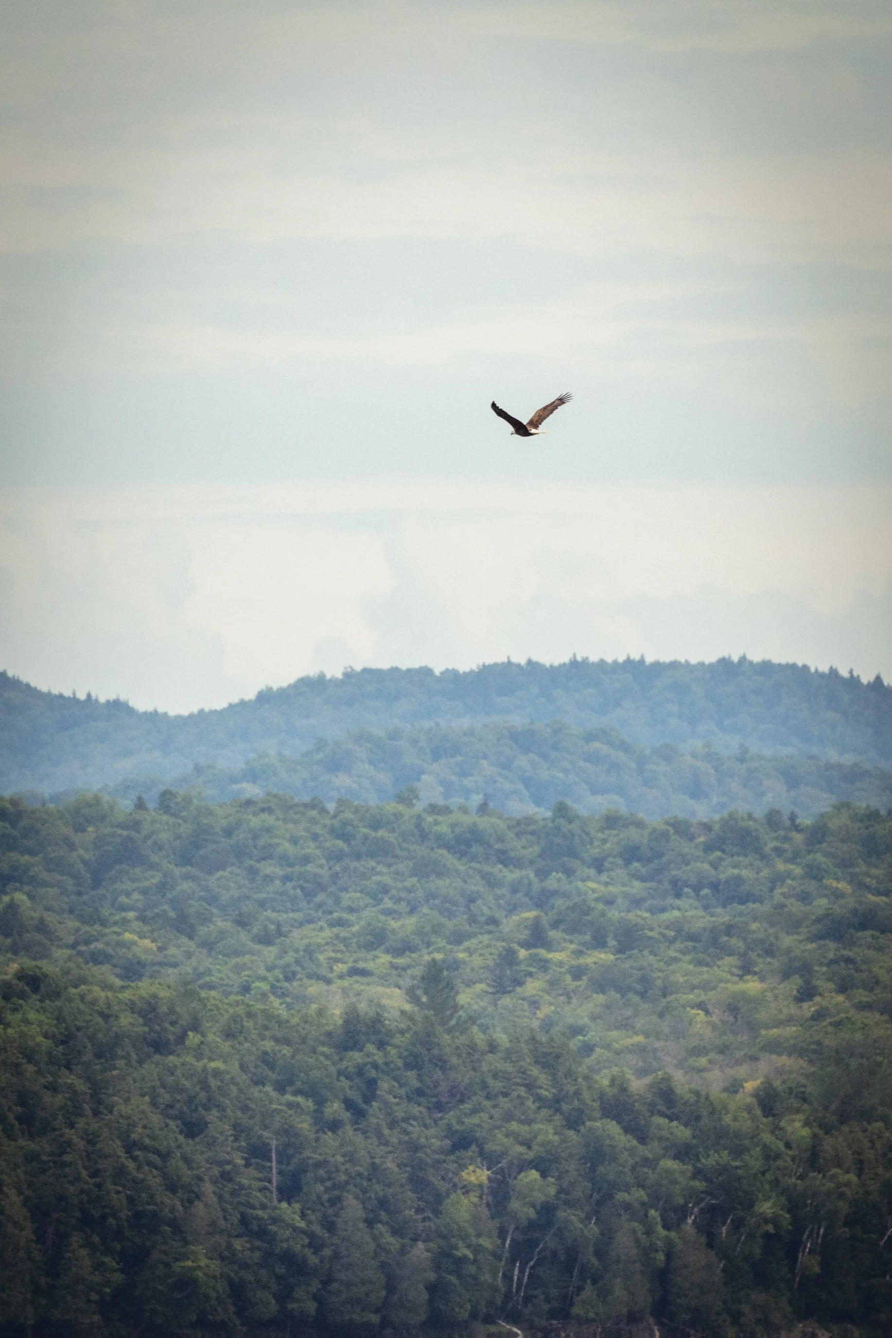 TNC_website edit15.JPG