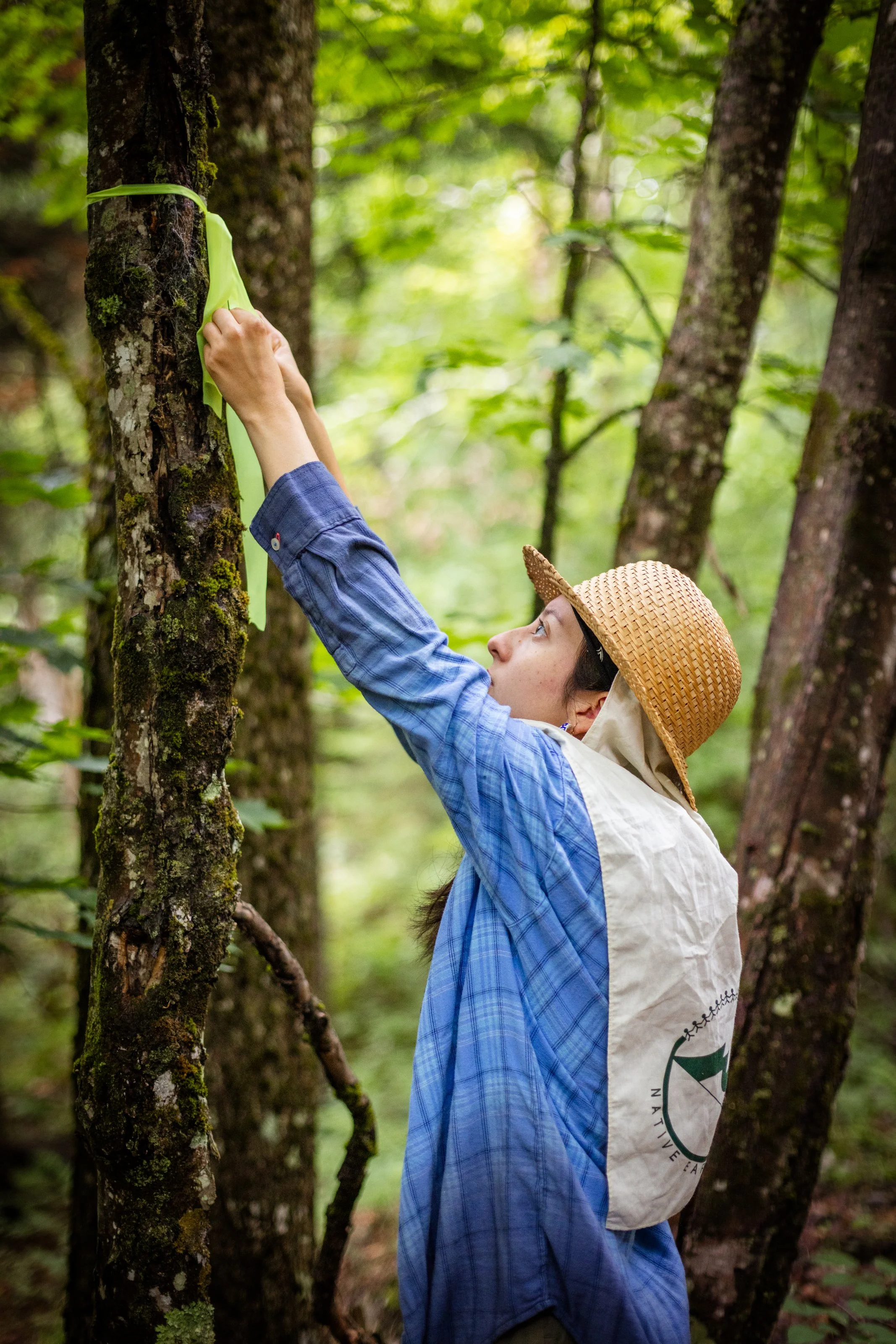 TNC_website edit14.JPG