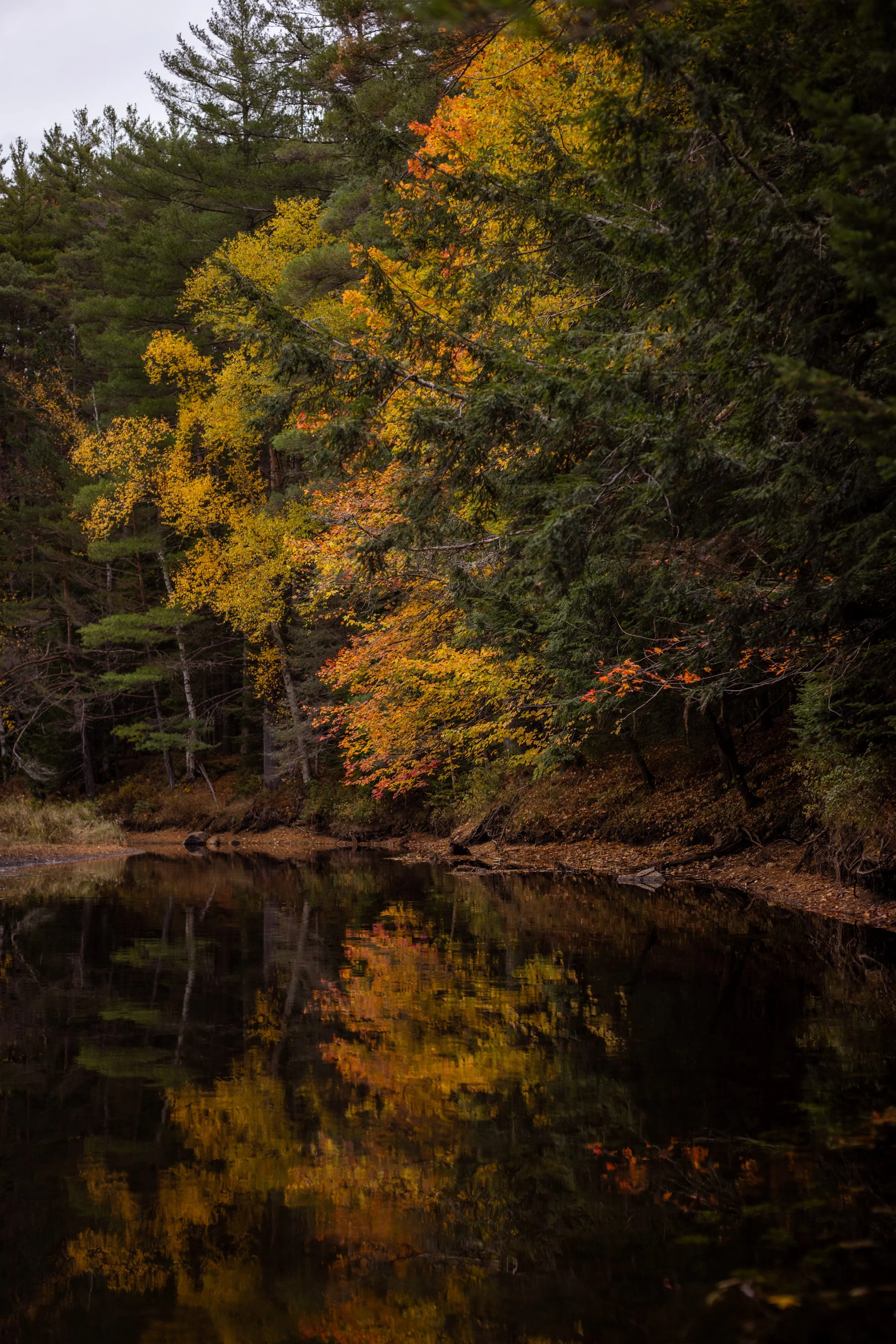 TNC_website edit17.JPG