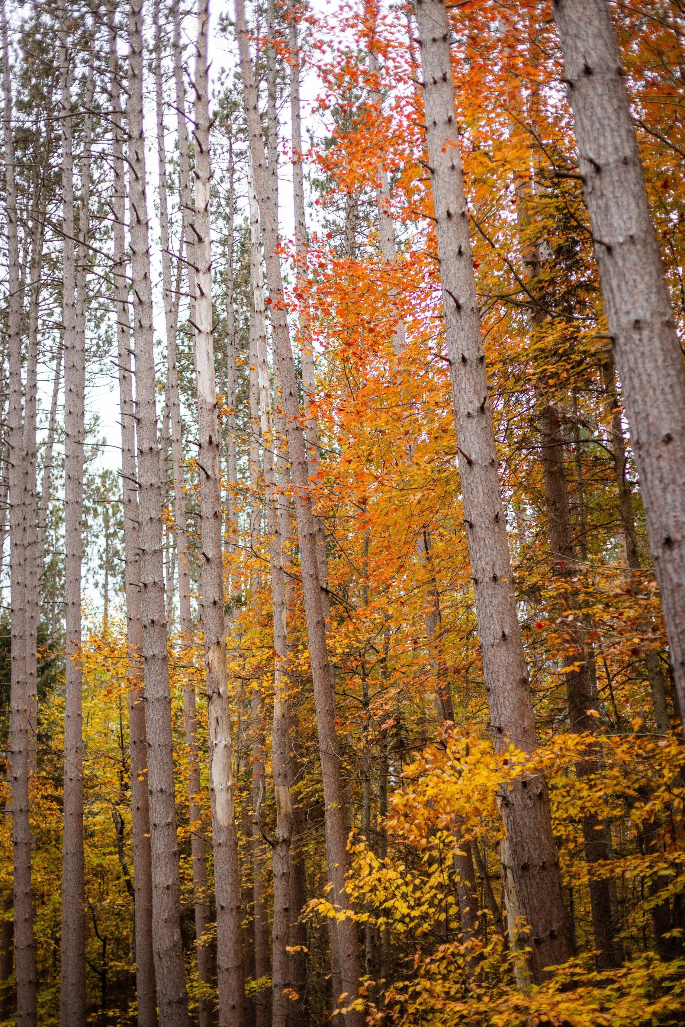 TNC_website edit21.JPG