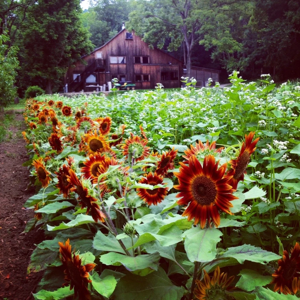 November 17th Farm Dinner - Private Checkout