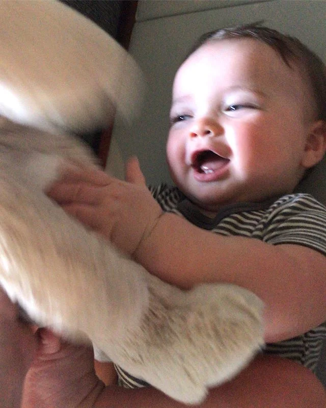 Kai-zario 8-months #farmbaby