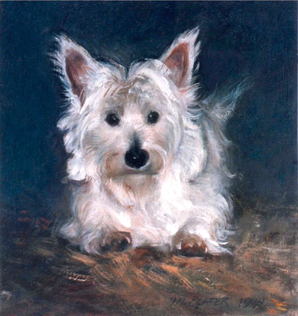 West.Highland.terrier.light_preview.jpeg