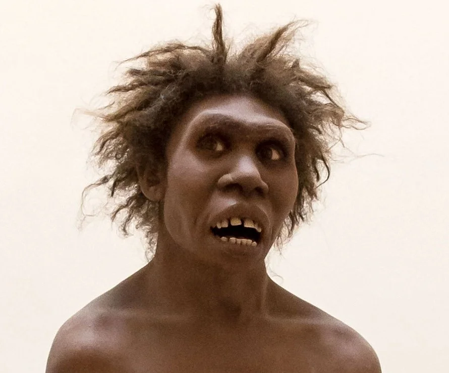 Stoned Ape