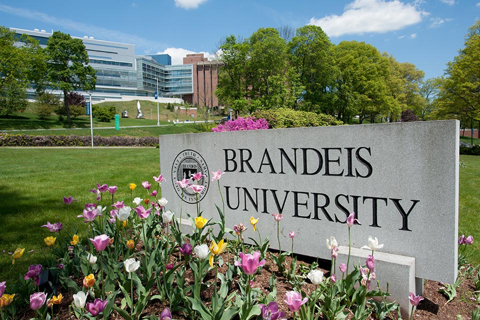 Interview with Jessica Schulman, Senior Assistant Director of Admissions at  Brandeis University — ILUMIN EDUCATION - College Admissions Consulting &  Counseling, Palo Alto, Cupertino, Sunnyvale, San Jose, Fremont