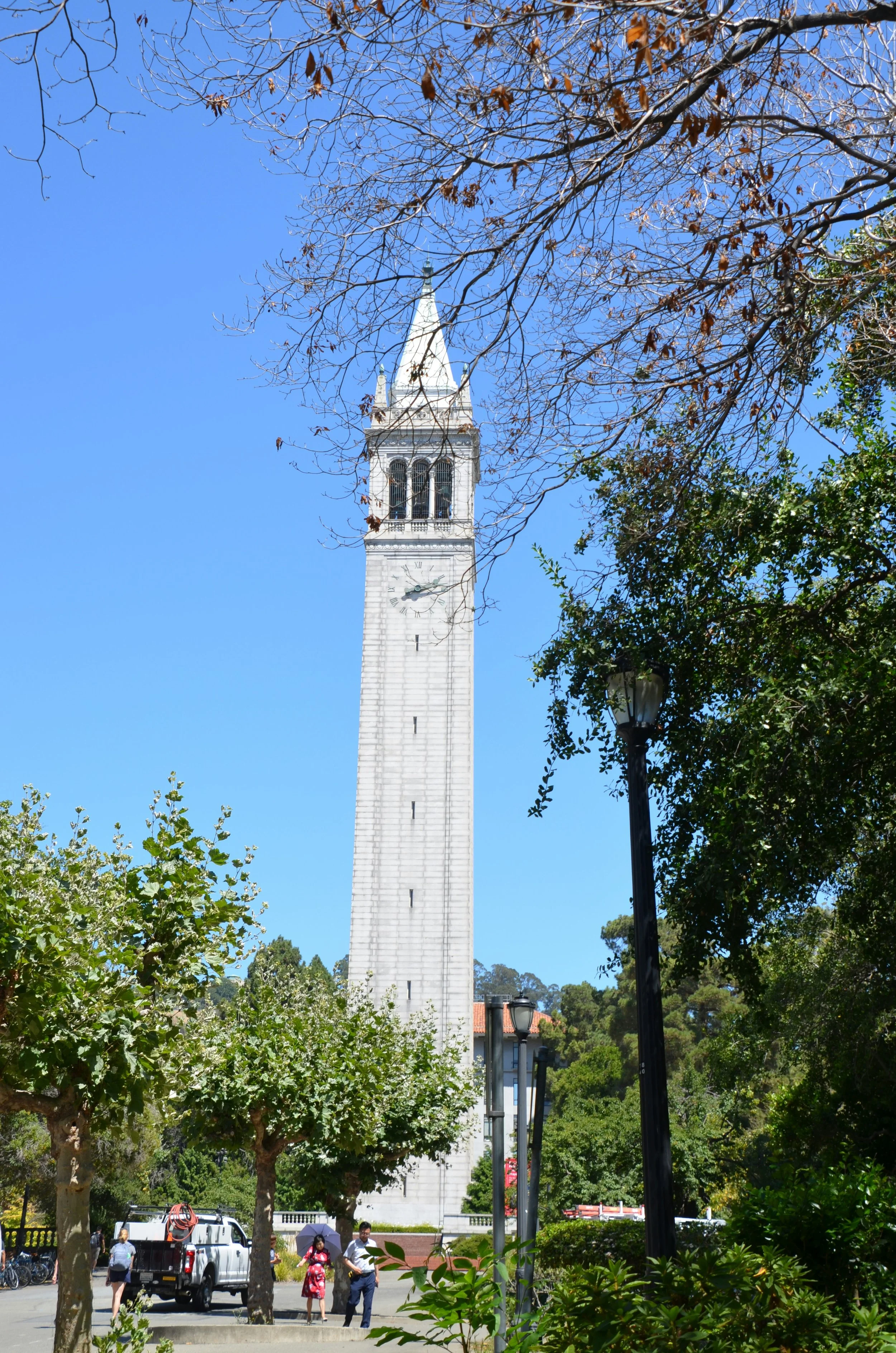 Webinar Transcript: Featuring UC Berkeley: A Conversation with Undergraduate Students