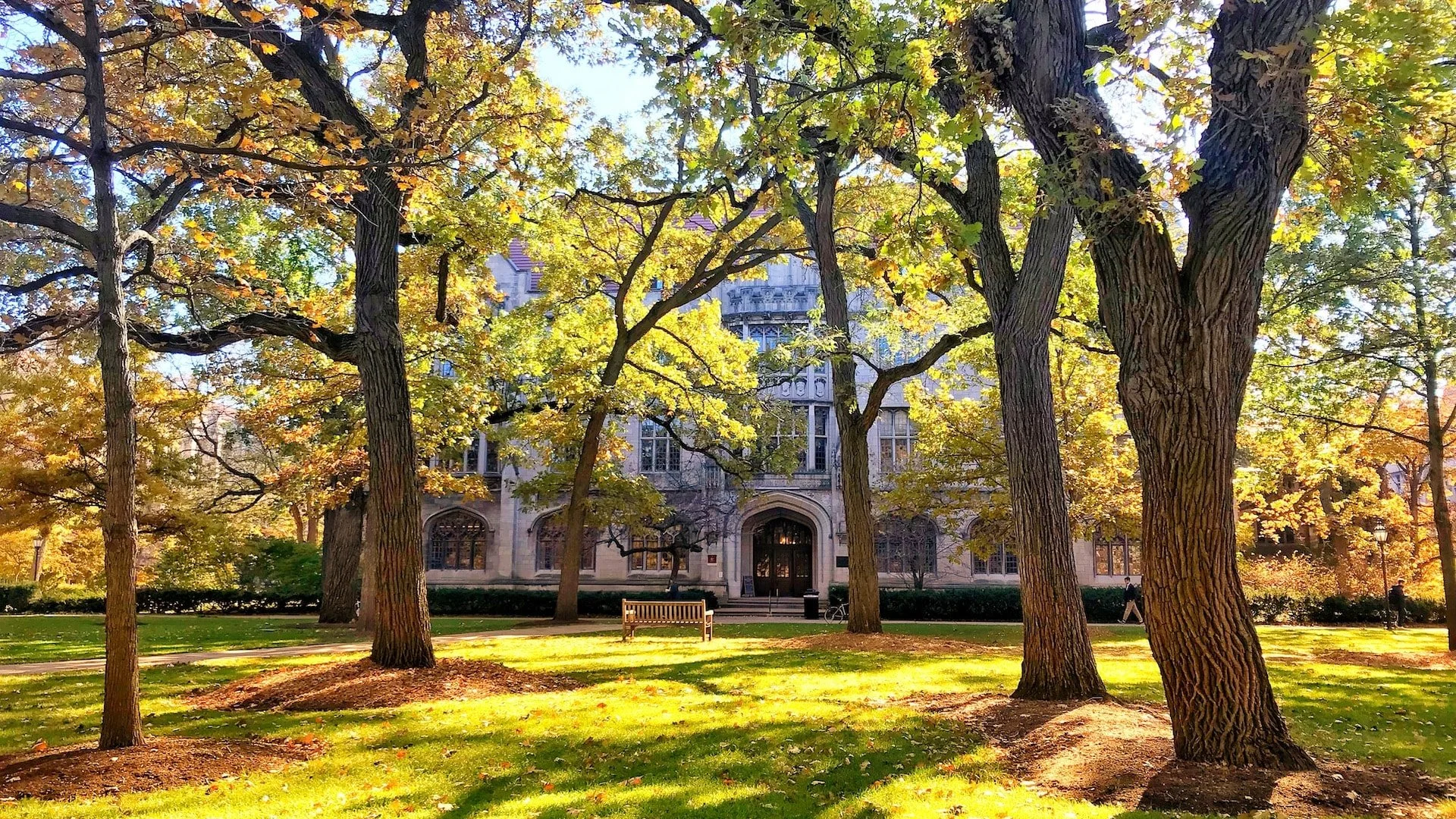 Is Early Admissions Evolving? UChicago’s Early Early Decision and Others