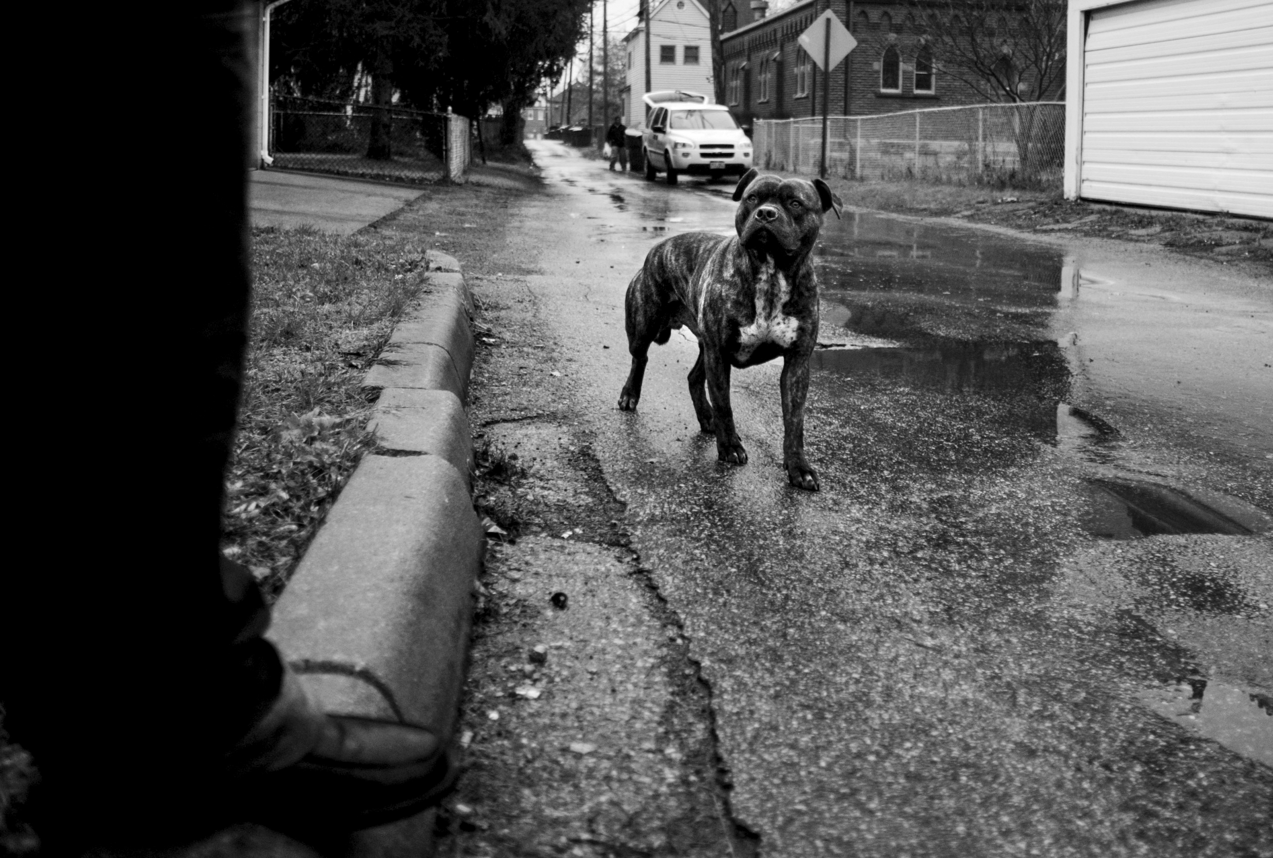 Lisle Alley, Columbus, Ohio. December 15, 2010.