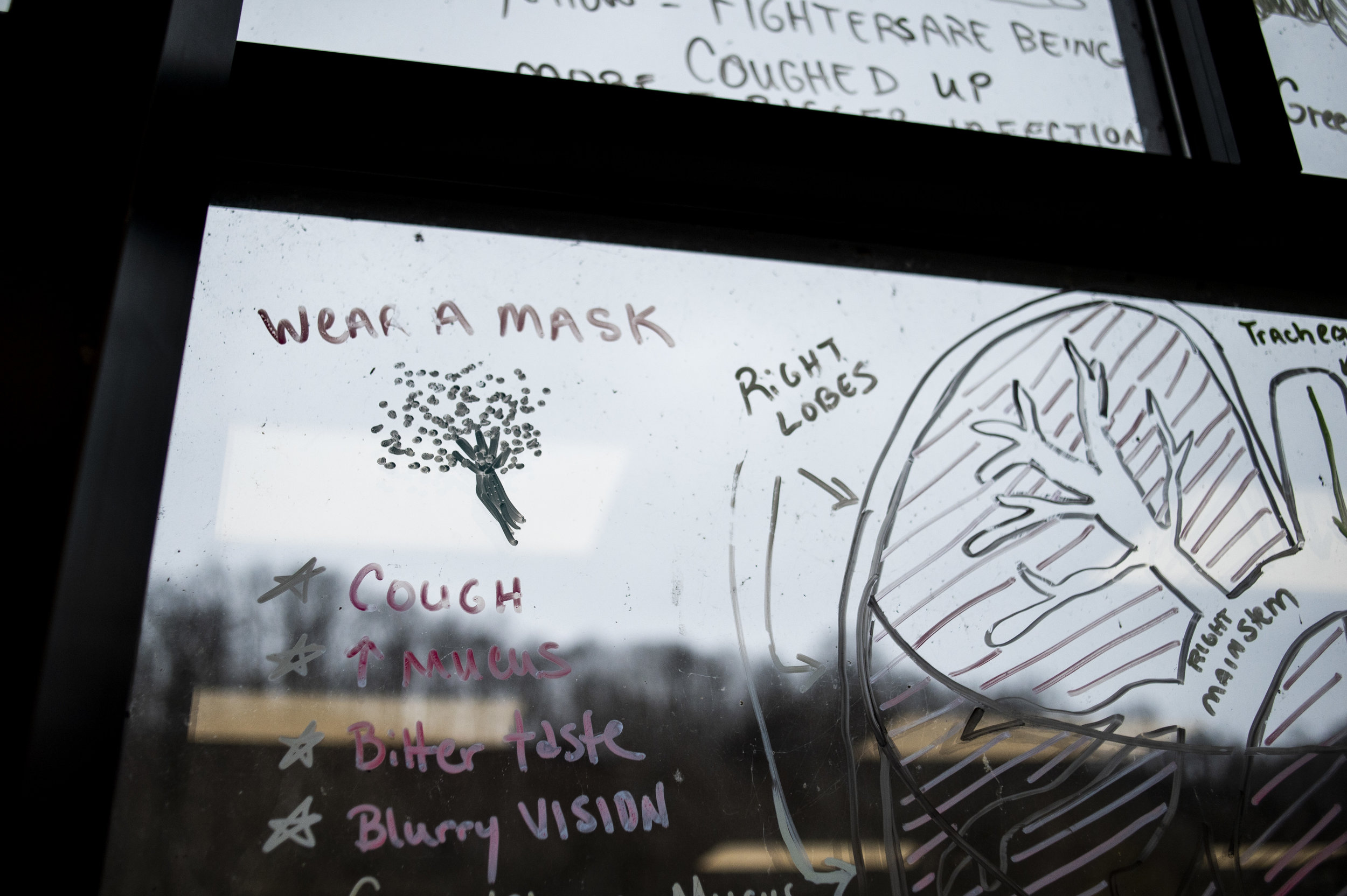  Drawings and information about lung health and Black Lung Disease cover the windows of the New Beginnings Pulmonary Rehab Clinic in South Williamson, Kentucky. 