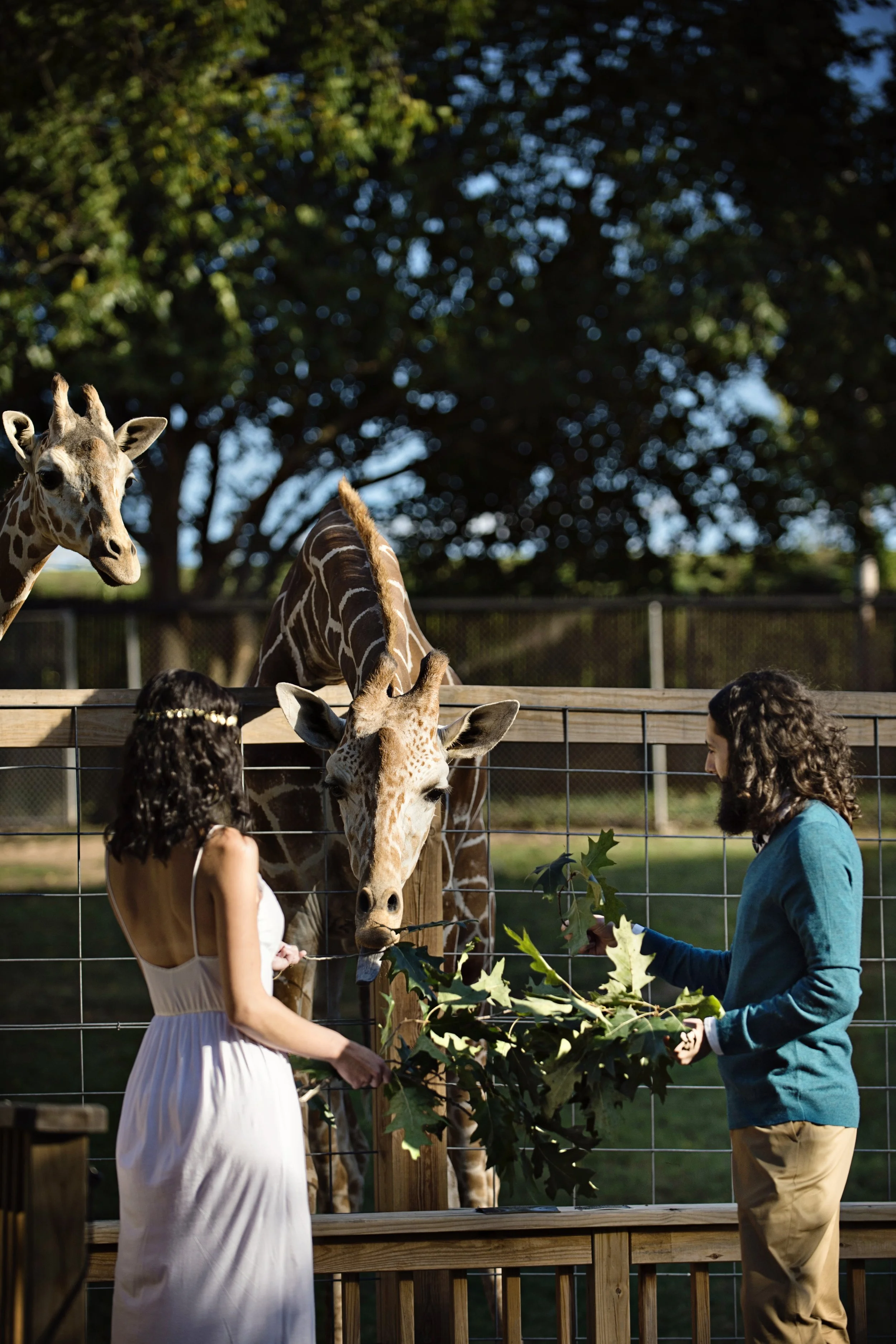 Family-Friendly Activities in Lehigh Valley: Fun Adventures for Every Age
