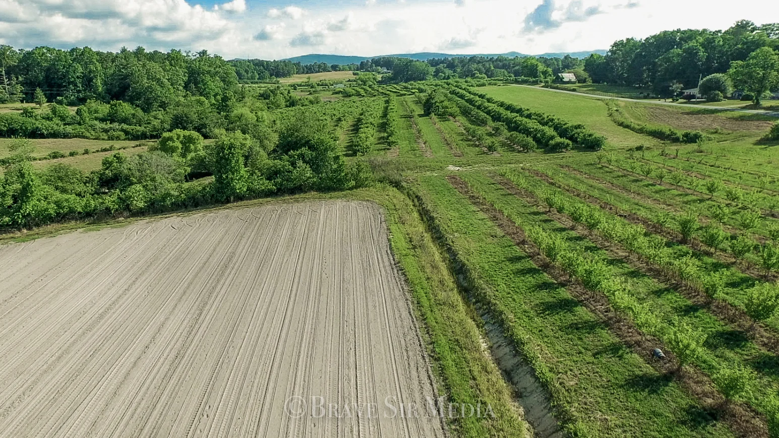 BSM Aerial 2017 Small Watermarked-50.jpg