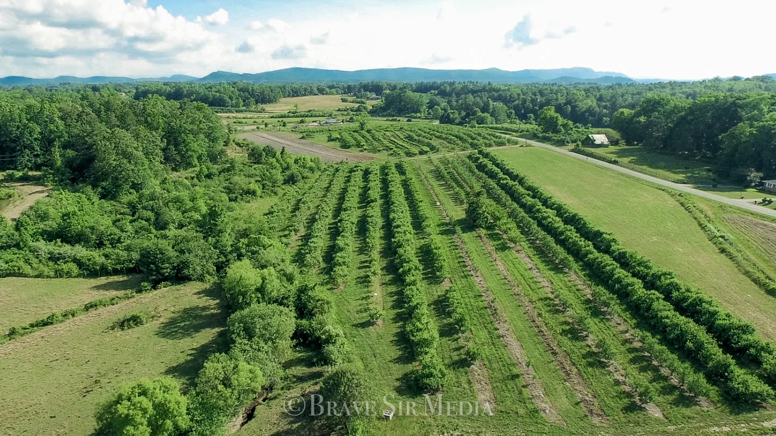 BSM Aerial 2017 Small Watermarked-52.jpg