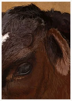 Sk_Cow_sm.jpg