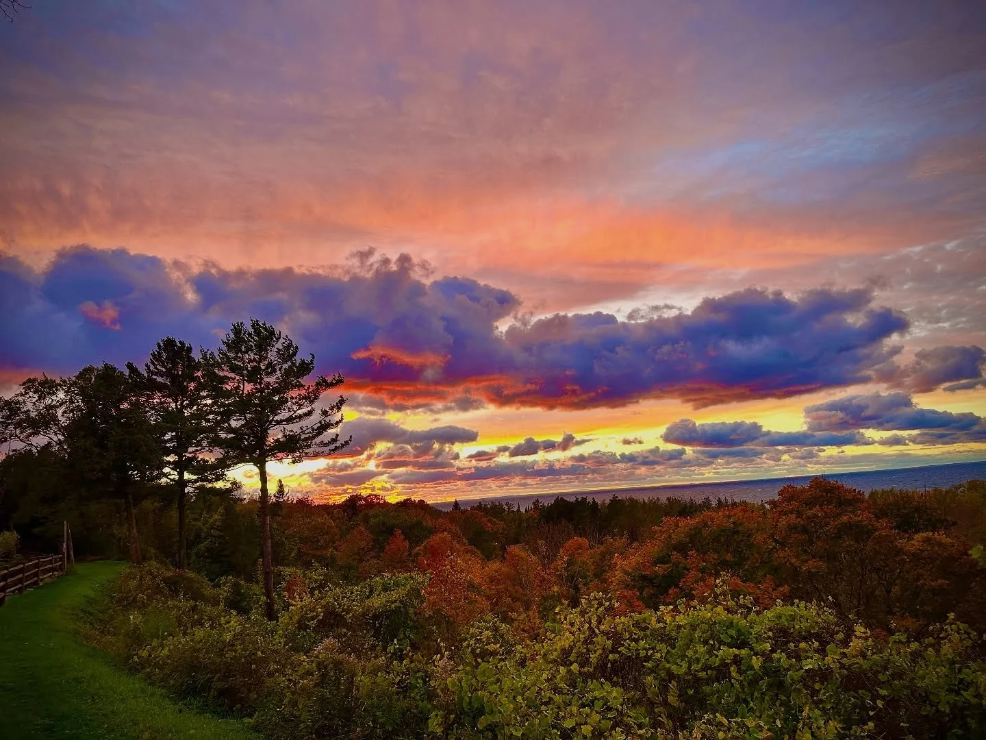 It&rsquo;s Falling. And we&rsquo;re closing soon. The 2025 @legsinn season ends October 26.