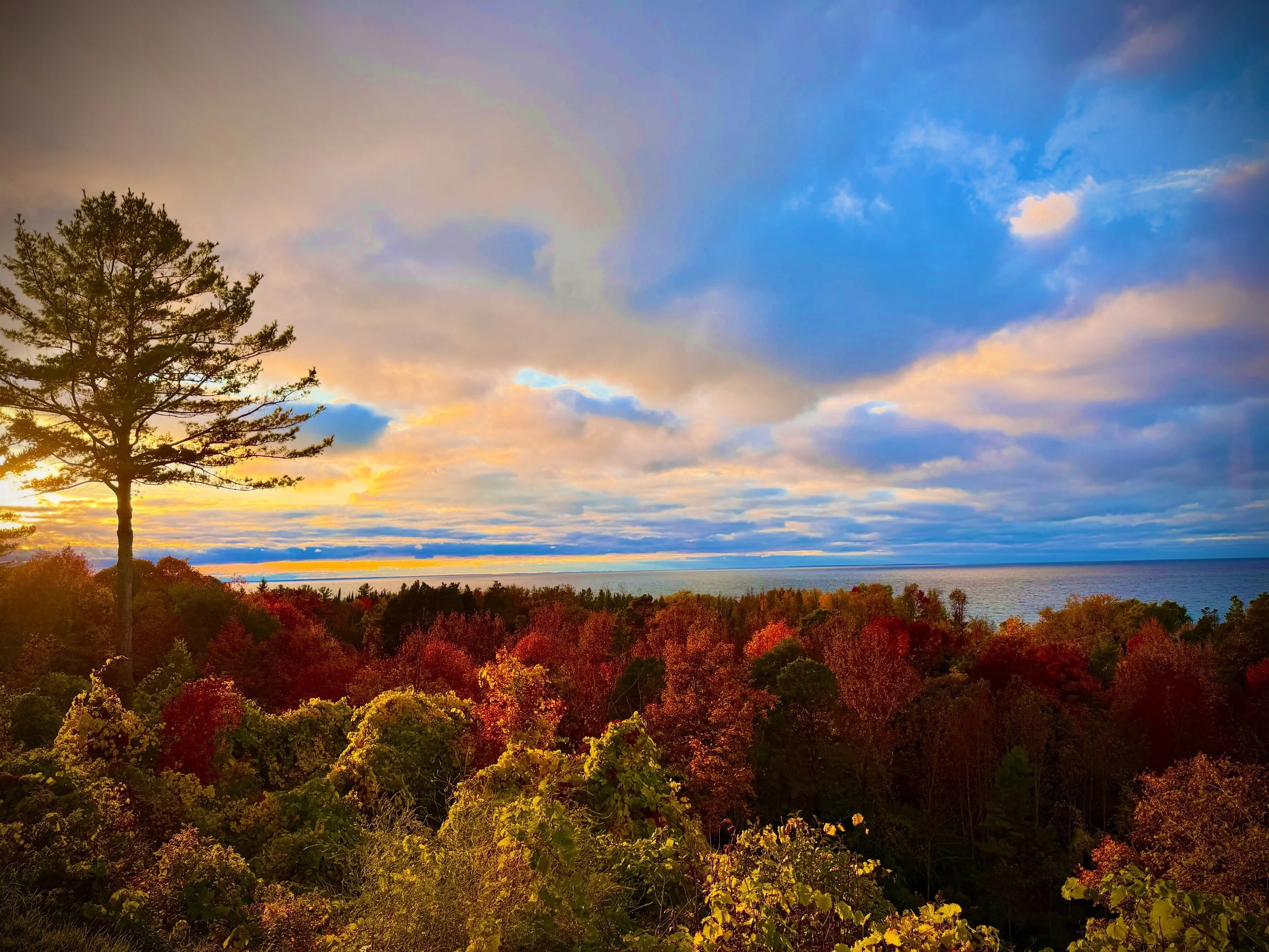 Come for the colors. Stay for the pierogi. Only 10 days left in our 2026 season. 🍃🍁🍂🥟 #legsinn #crossvillage #harborsprings #m119 #tunneloftrees