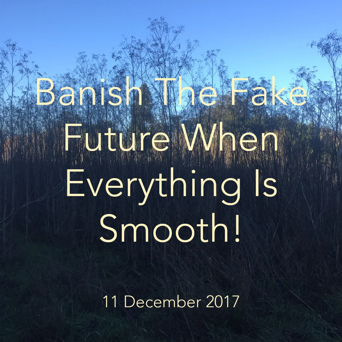 Banish The Fake Future.jpg