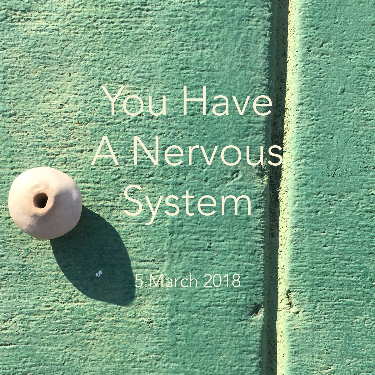 Mar 5 You Have A Nervous System.jpg