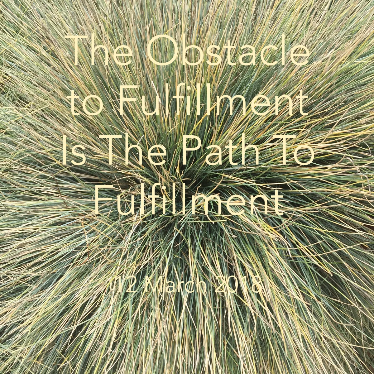 Fullfillment March 12.jpg