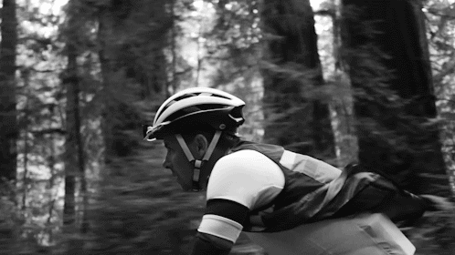 Avenue of the Giants.
