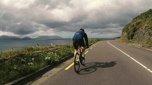 Tabby-slomo_coast_LIOTR17_GIFs_SSblog.gif