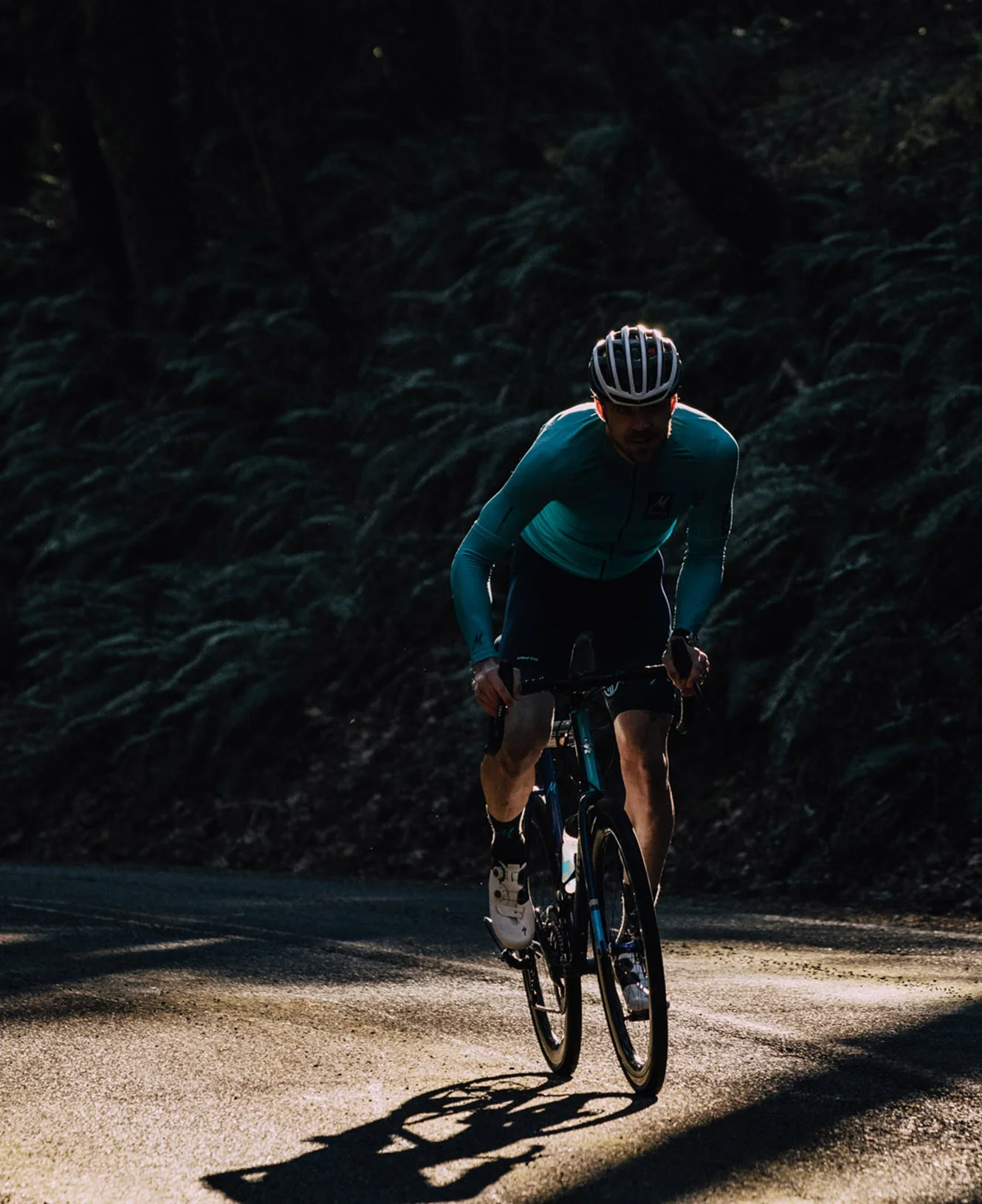 20180101_randall_bicycling_forweb.jpg