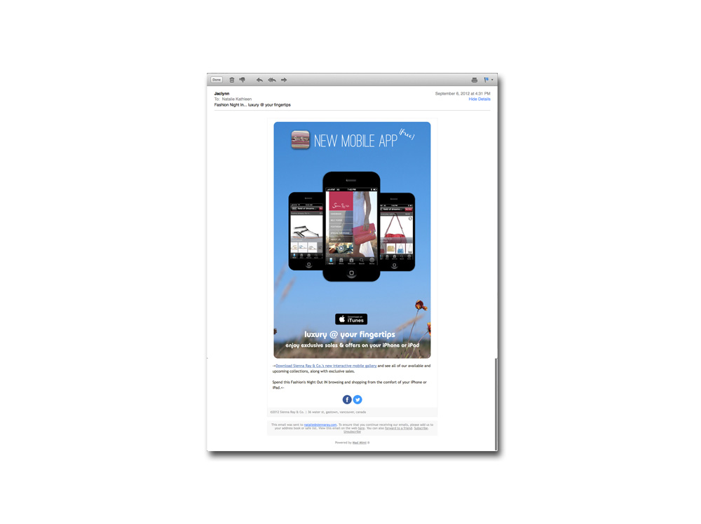 SocialMedia_newsletters_3.jpg
