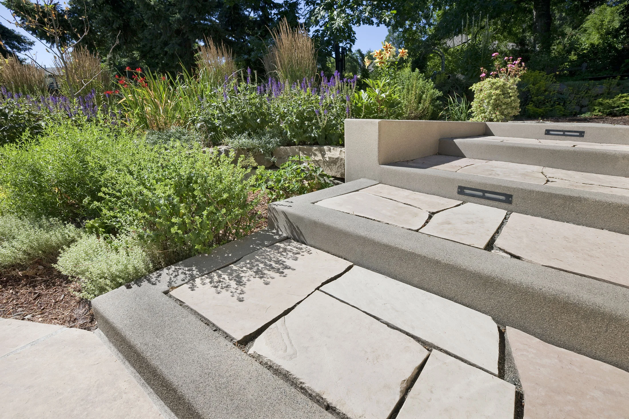 Solid Ground_0161_web.jpg