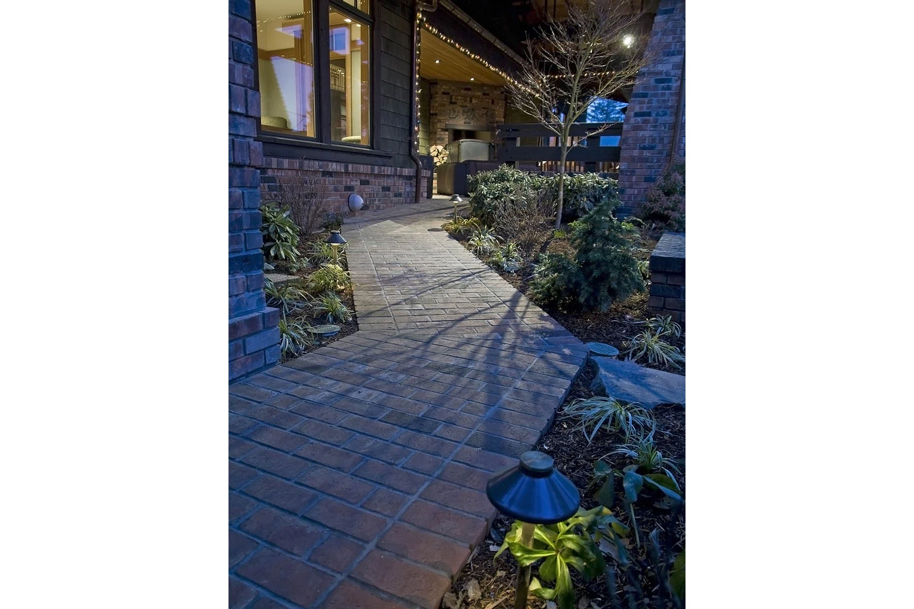 P1160462lg_web.jpg