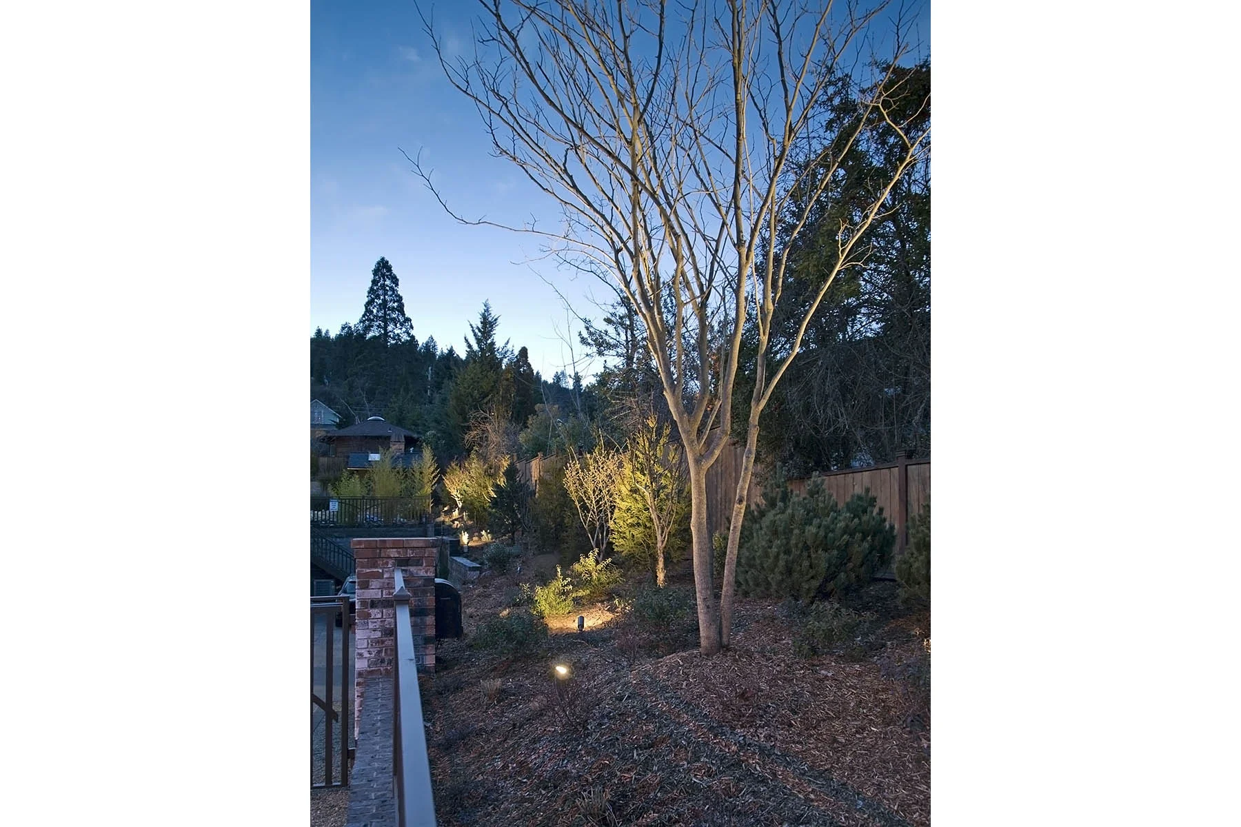 P1160480lg_web.jpg