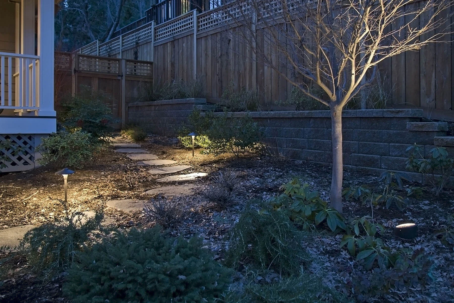 P1160595lg_web.jpg