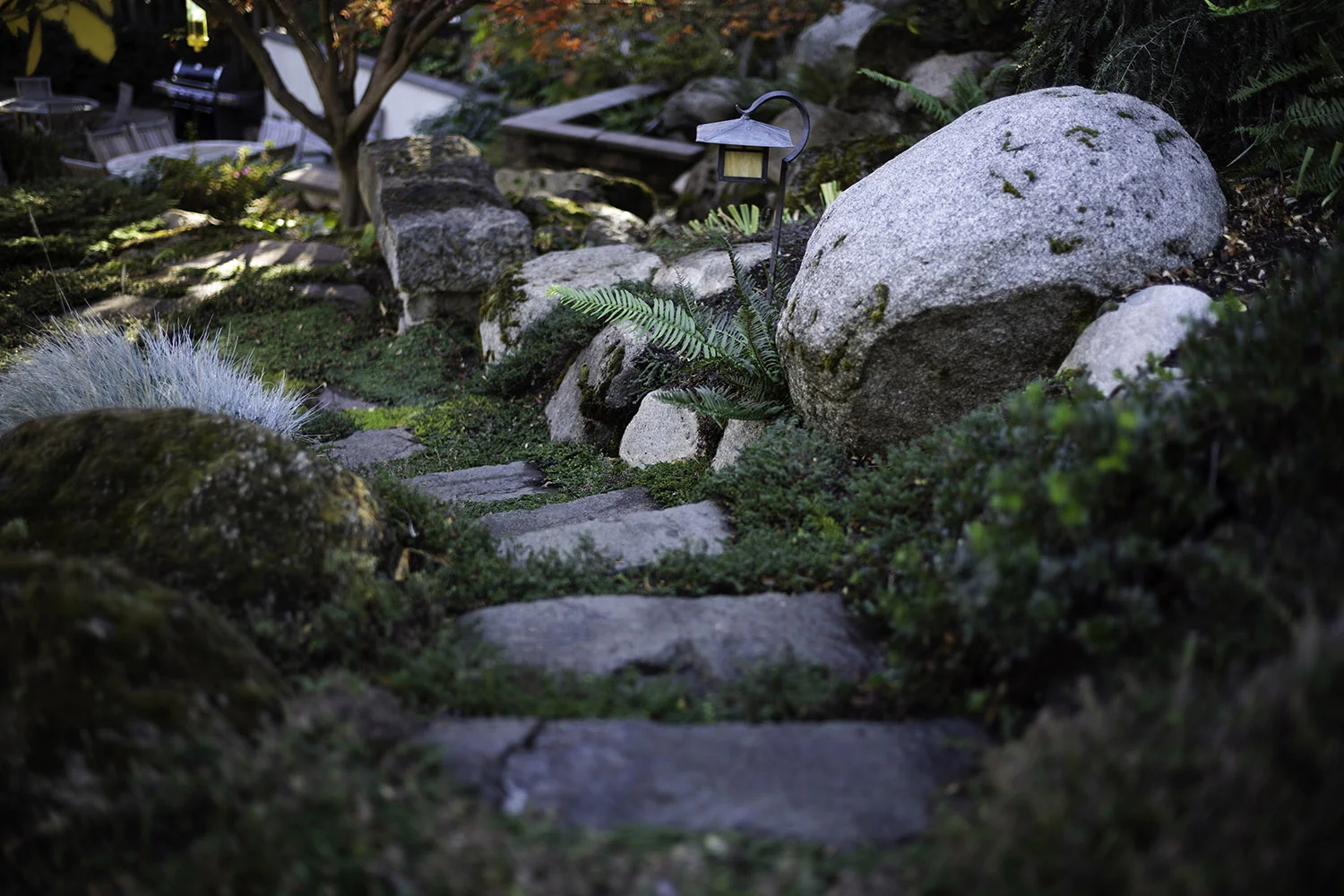 2018-09-19_almond_008_web.jpg