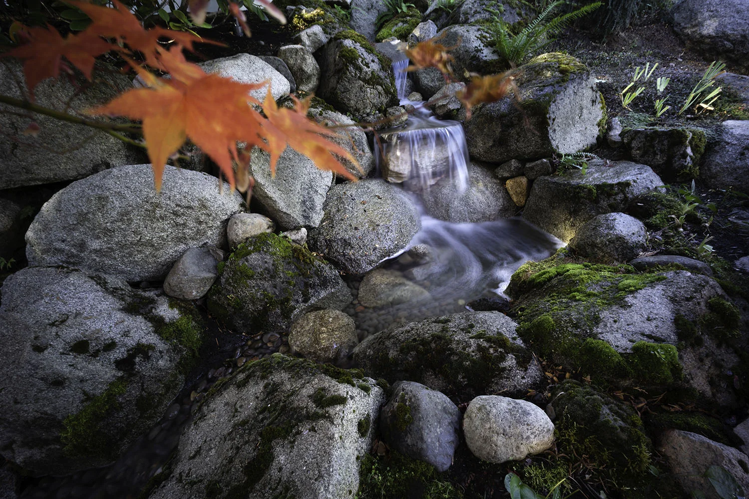 2018-09-19_almond_014_web.jpg