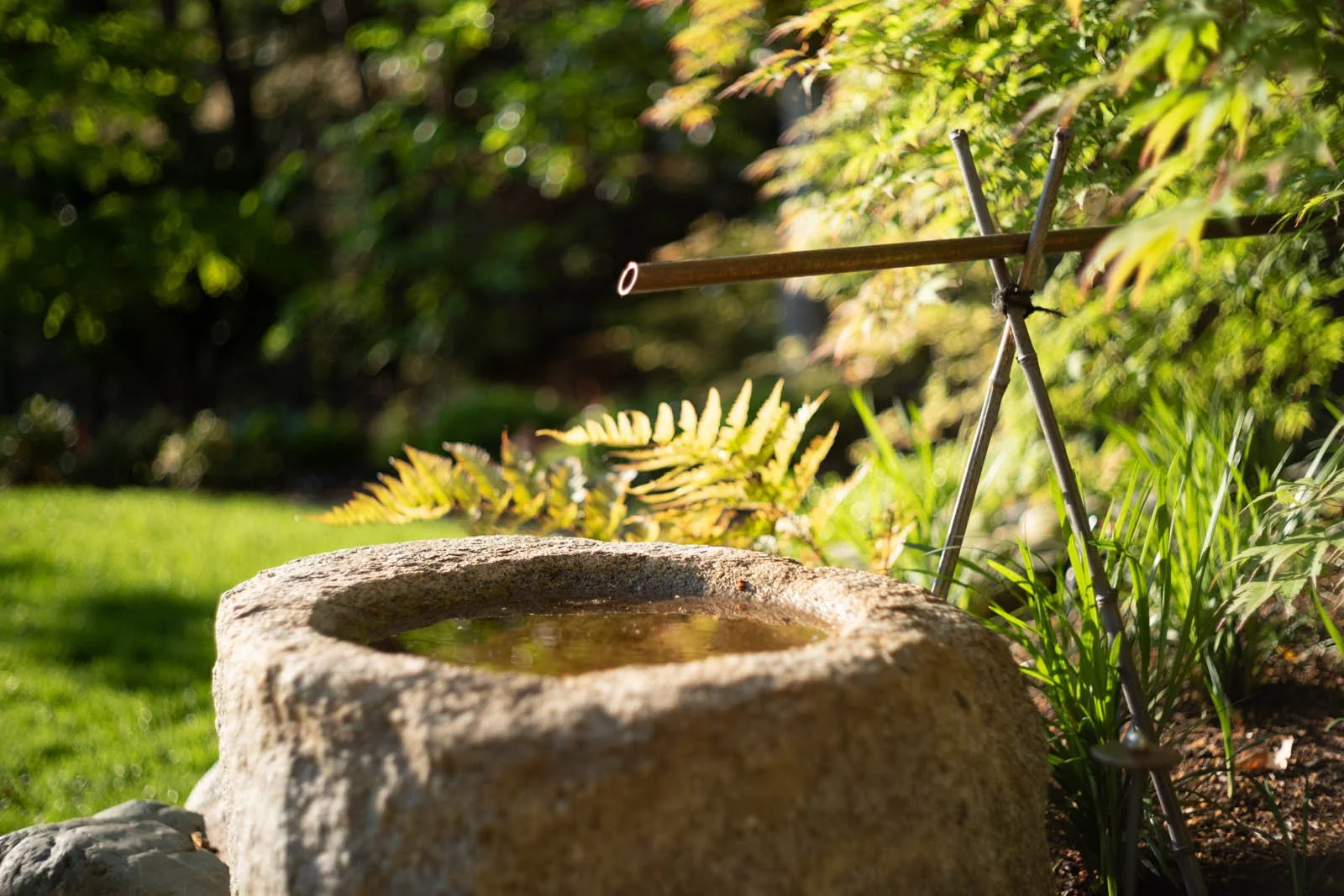 light_on_the_hill_060225_015_web.jpg