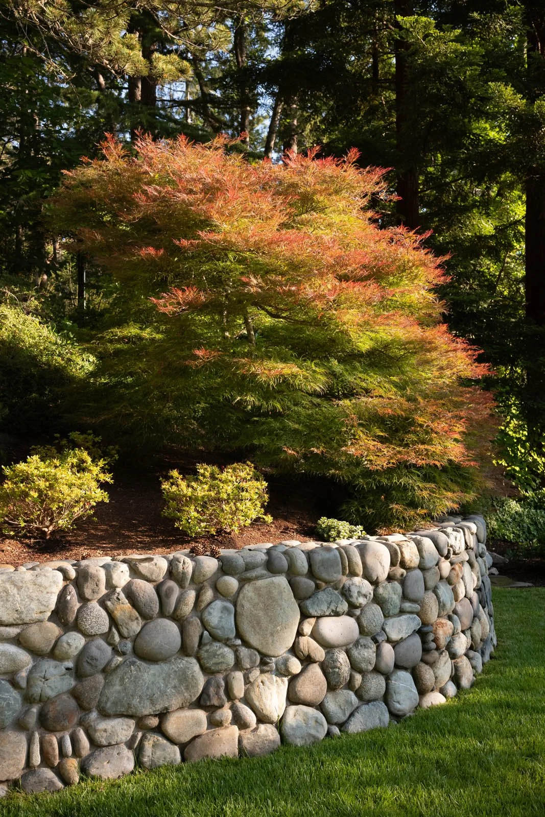 light_on_the_hill_060225_017_web.jpg