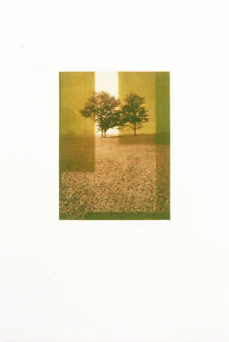 Cornfield 2 | Ink on paper (unframed). 22.5"h x 15"w x 1.5"d