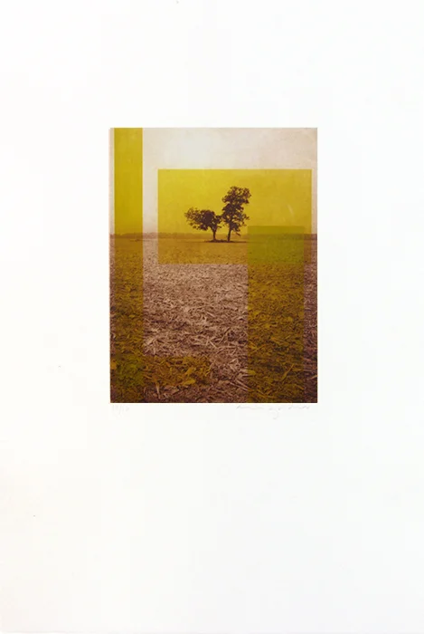 Cornfield 1 | Ink on paper (unframed). 22.5"h x 15"w x 1.5"d