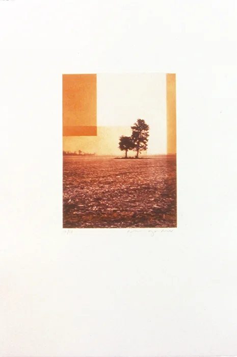 Cornfield 3 | Ink on paper (unframed). 22.5"h x 15"w x 1.5"d