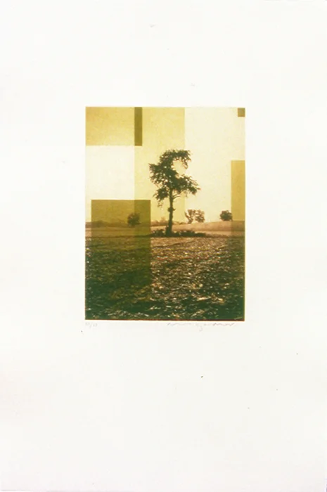 Cornfield 4 | Ink on paper (unframed). 22.5"h x 15"w x 1.5"d