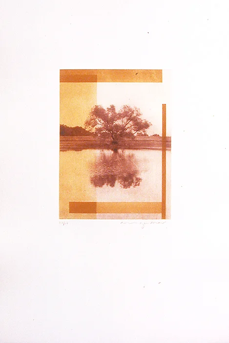 Cornfield 5 | Ink on paper (unframed). 22.5"h x 15"w x 1.5"d