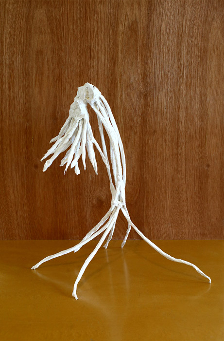 plaster_8_web_700px.jpg