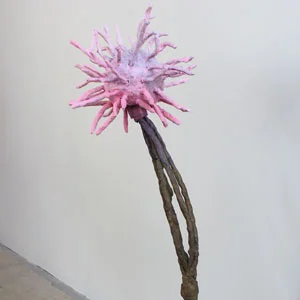 Pink_Bloom_thumb.jpg
