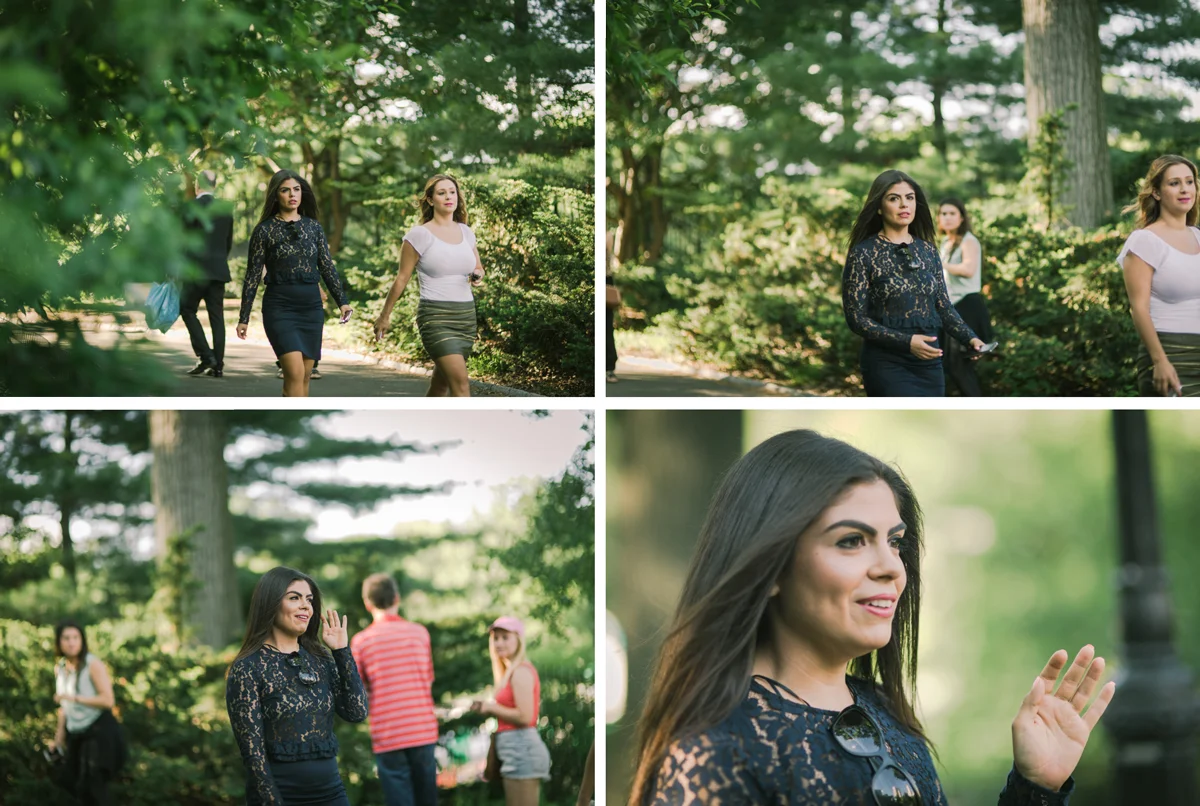 CentralParkProposal_c-1.jpg