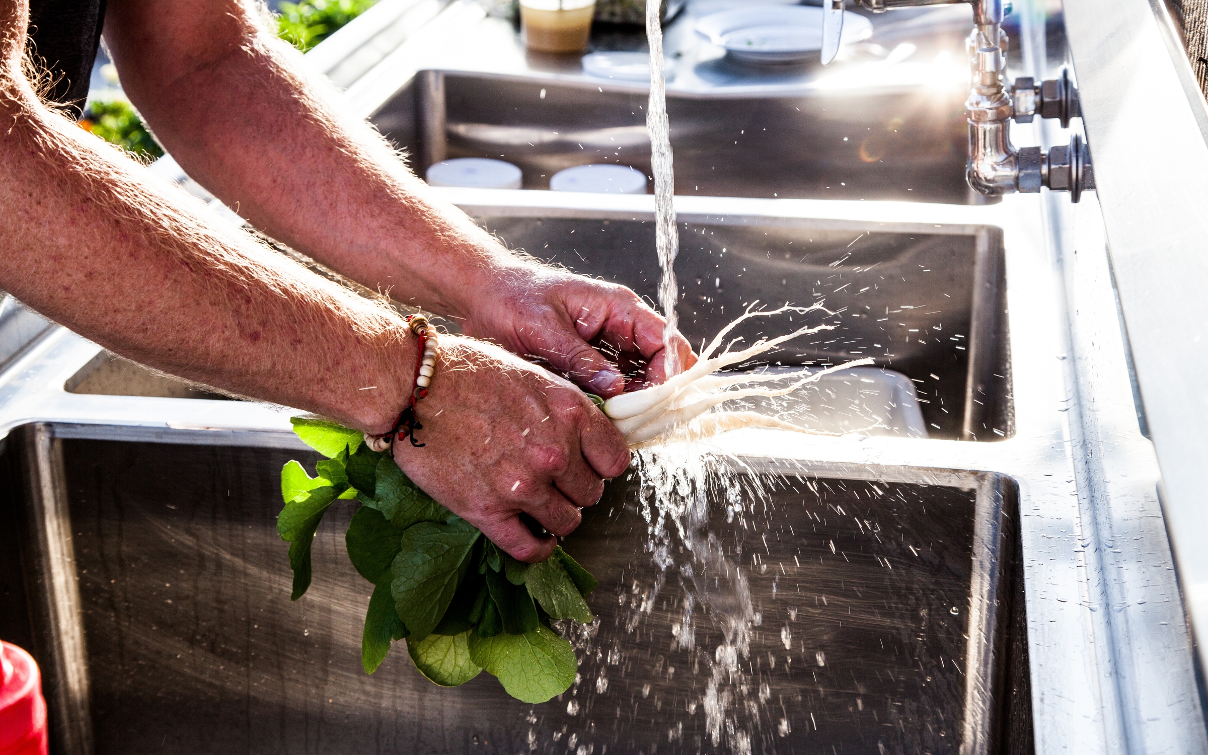 Copy of Hands washing white daikons in sink - splashing water